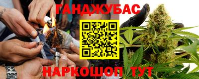 молекула духа Гатчина