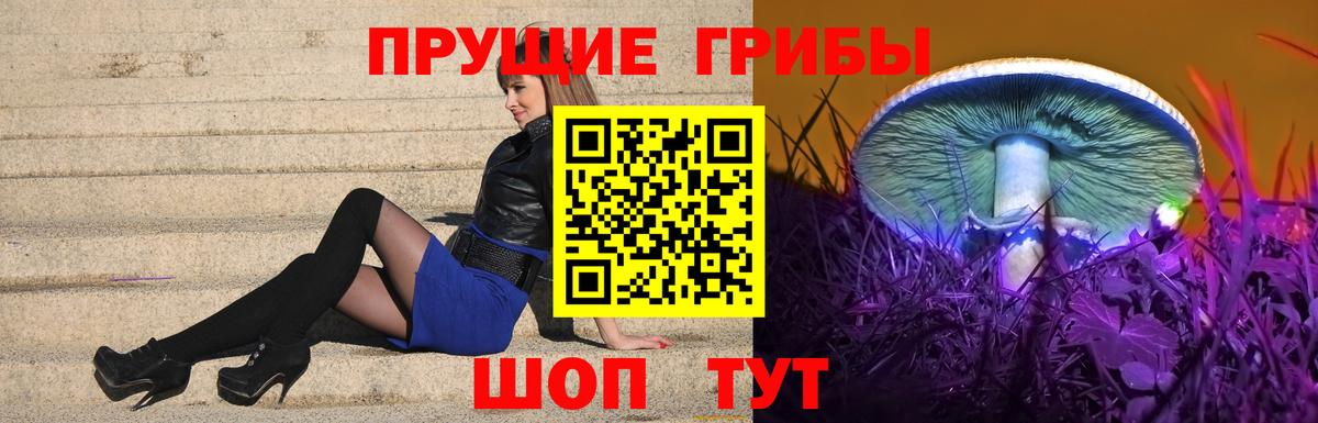 Галлюциногенные грибы Psilocybine cubensis  Галлюциногенные грибы MAGIC MUSHROOMS  Вход с VPN  Карасук 
